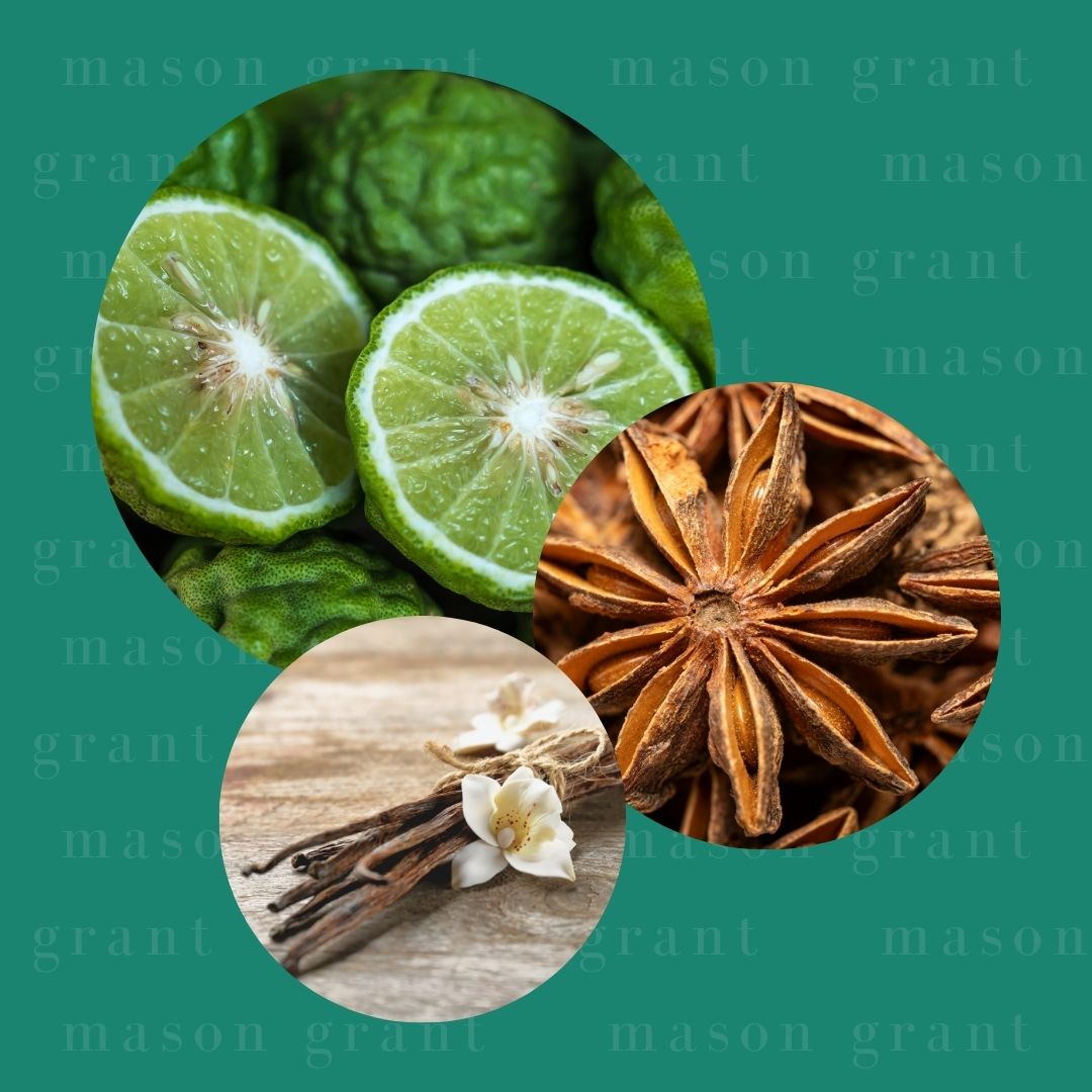 Three circular images of Bergamot, Anise and Vanilla on a teal background with ‘Mason Grant’ branding