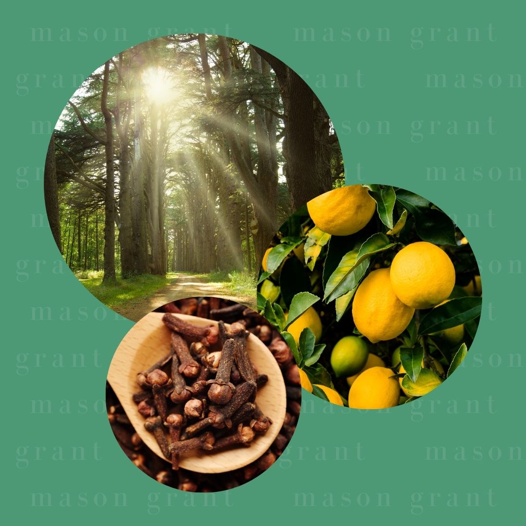 Three circular images of Cedarwood, Lemon and Clove on a green background with ‘Mason Grant’ branding
