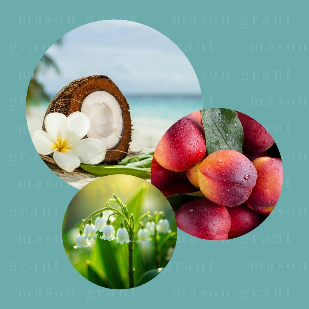 Three circular images of Coconut, Nectarine and Muguet on a blue background with ‘Mason Grant’ branding
