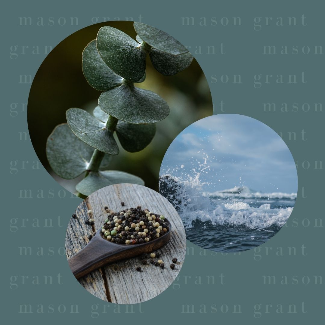 Three circular images of Eucalyptus, Sea Salt and Peppercorn on a blue background with ‘Mason Grant’ branding