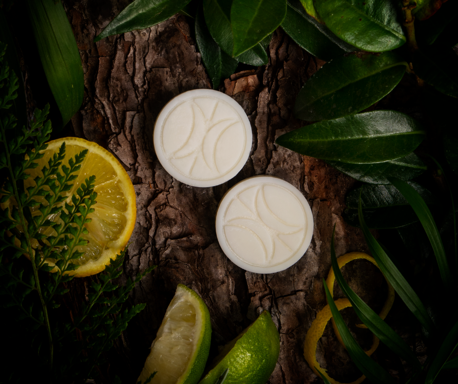 Close up of Mason Grant wax melts sitting on wood surrounded by green plants and zesty lemon and lime