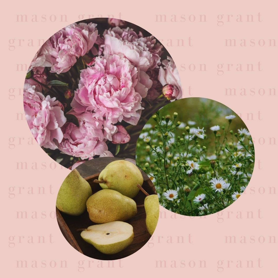 Three circular images of Peony, Daisy and Pear on a pink background with ‘Mason Grant’ branding