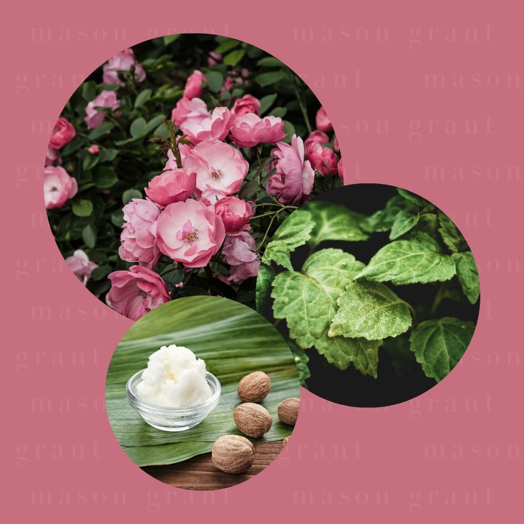Three circular images of Rose, Patchouli and Shea Butter on a pink background with ‘Mason Grant’ branding