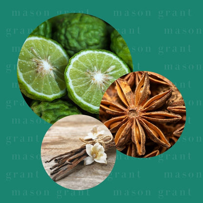 Three circular images of Bergamot, Anise and Vanilla on a teal background with ‘Mason Grant’ branding