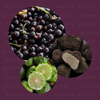 Three circular images of Blackcurrant, Truffle and Bergamot on a purple background with ‘Mason Grant’ branding