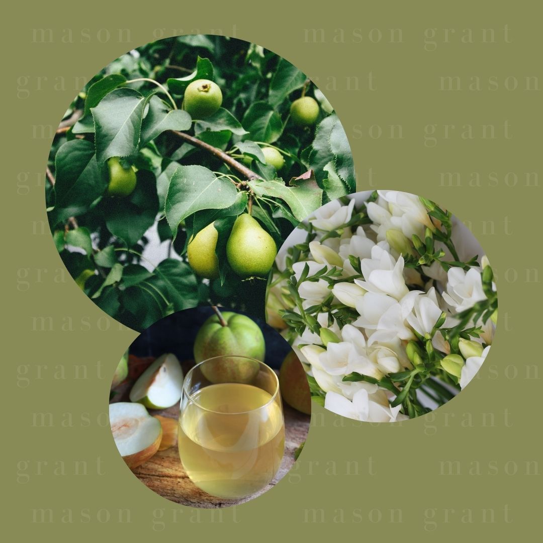 Three circular images of English Pear and White Freesia on a green background with ‘Mason Grant’ branding