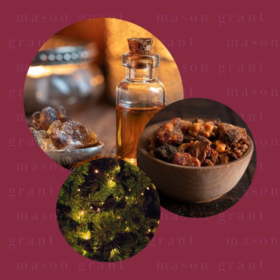 Three circular images of Frankincense, Myrrh and Pine on a dark pink background with ‘Mason Grant’ branding