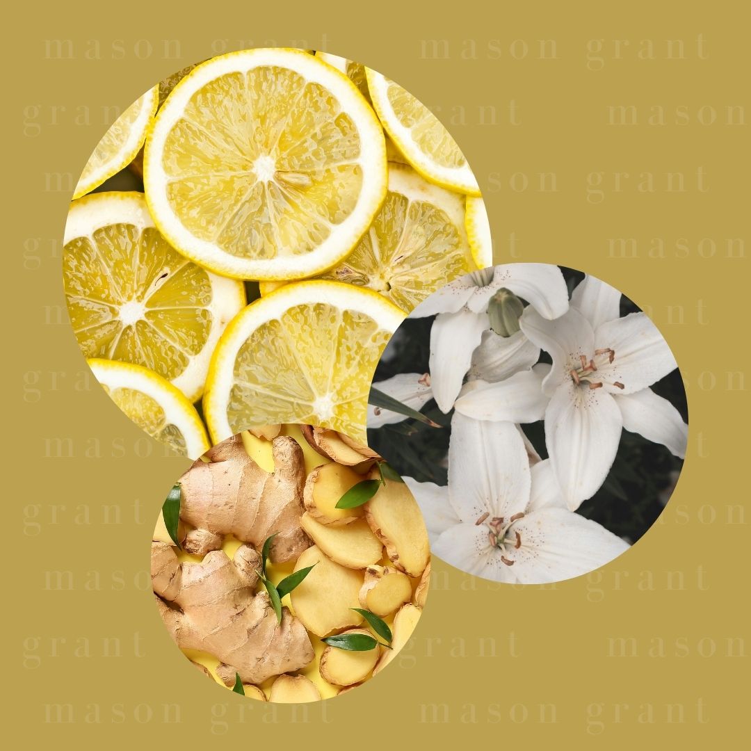 Three circular images of Lemon, White Lily and Ginger on a yellow background with ‘Mason Grant’ branding