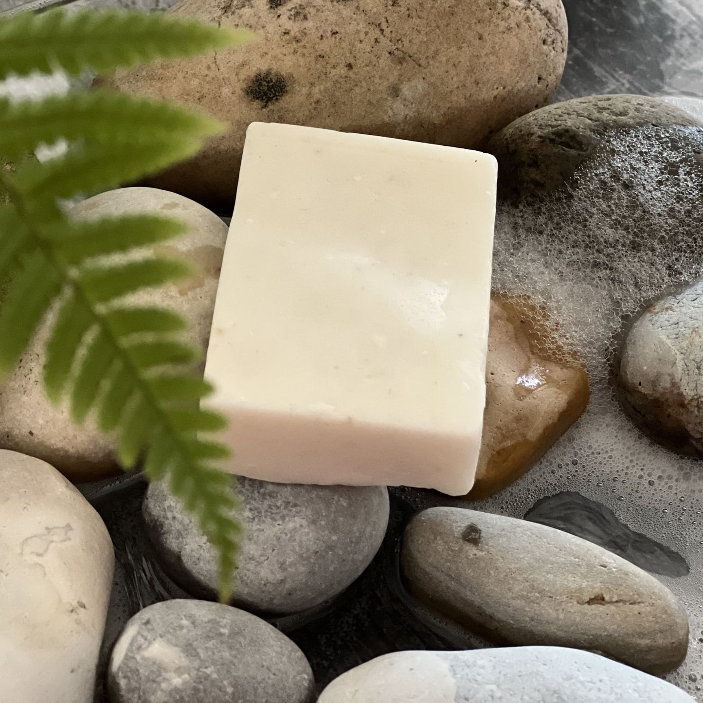 Oh Arthur dog shampoo bar on a bed of stones with a fern leaf