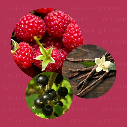 Three circular images of Raspberry, Vanilla and Cassis on a pink background with ‘Mason Grant’ branding