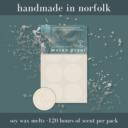 Eucalyptus, Sea Salt & Peppercorn Soy Wax Melts