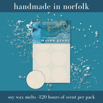 Grey Amber, Sea Spray & Sage Soy Wax Melts