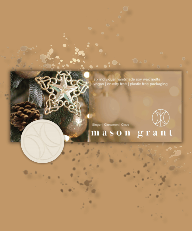 Ginger, Cinnamon and Clove Six Soy Wax Melts