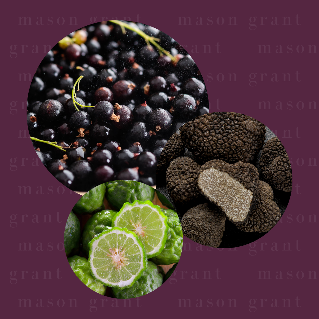 Blackcurrant, Truffle and Bergamot Six Soy Wax Melts