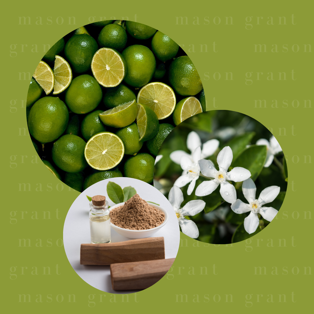 Lime, Jasmine and Sandalwood Six Soy Wax Melts