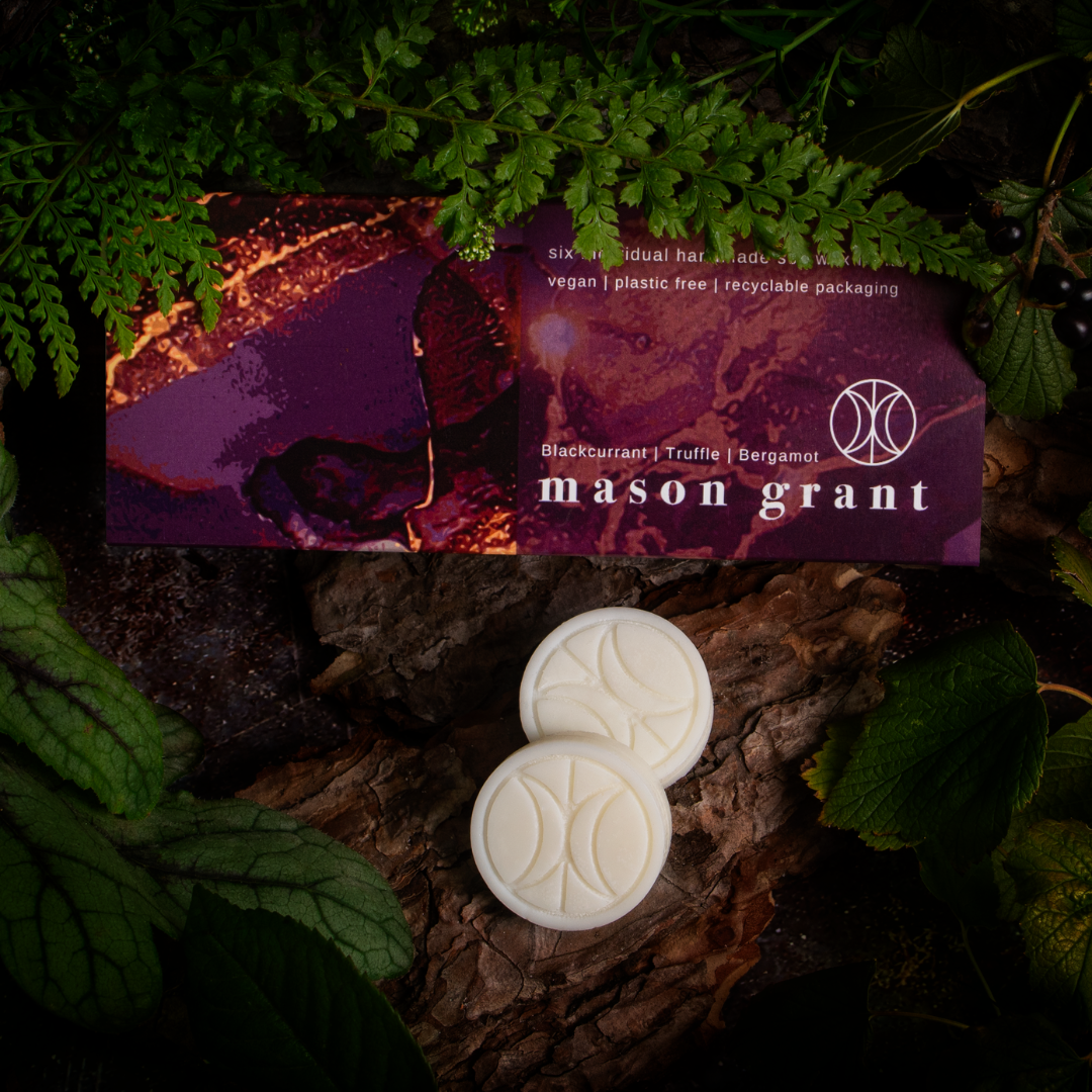 Blackcurrant, Truffle and Bergamot Six Soy Wax Melts